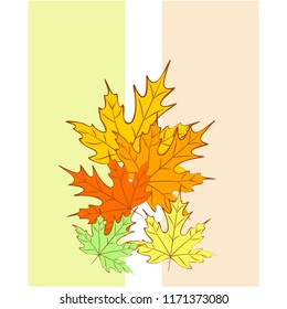 maple leaves autumnal vector background