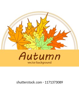 maple leaves autumnal vector background