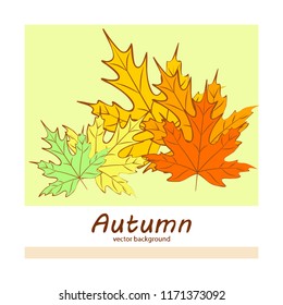 maple leaves autumnal vector background