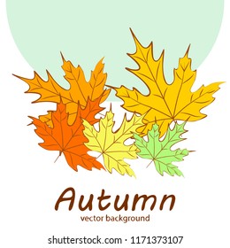 maple leaves autumnal vector background