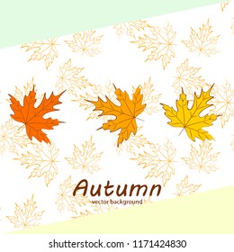 maple leaves autumnal vector background