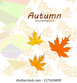 maple leaves autumnal vector background