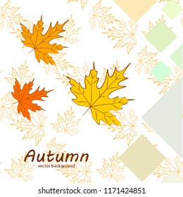 maple leaves autumnal vector background