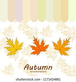 maple leaves autumnal vector background