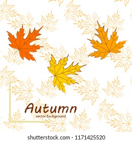maple leaves autumnal vector background