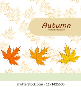 maple leaves autumnal vector background