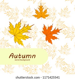 maple leaves autumnal vector background