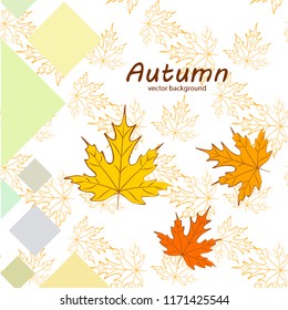 maple leaves autumnal vector background
