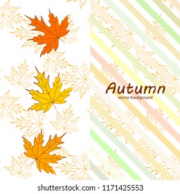 maple leaves autumnal vector background