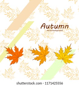 maple leaves autumnal vector background