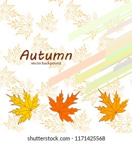 maple leaves autumnal vector background