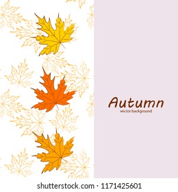 maple leaves autumnal vector background