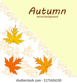 maple leaves autumnal vector background