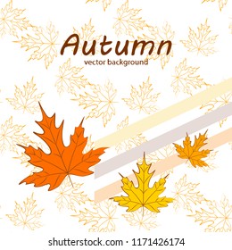 maple leaves autumnal vector background