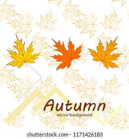 maple leaves autumnal vector background