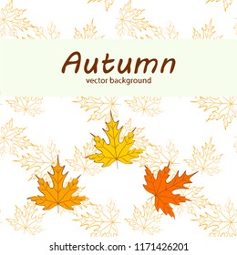 maple leaves autumnal vector background