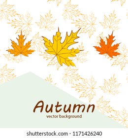 maple leaves autumnal vector background