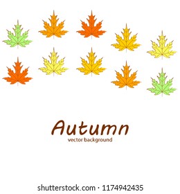 maple leaves autumnal vector background