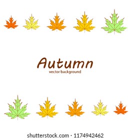maple leaves autumnal vector background