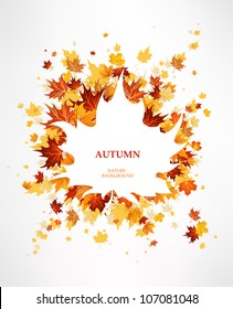 Maple leaves background with space for text