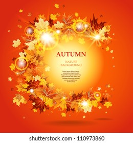 Maple leaves background with space for text