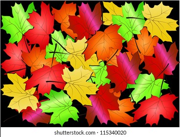 Maple leaves background,vector