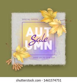 Maple leaves with blank sheet of watercolor texture paper. Autumn sale background. Vector autumn illustration