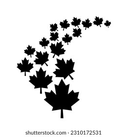 maple leaves blow design vector