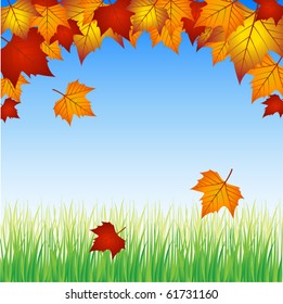 maple leaves with blue sky and green grass in Vector