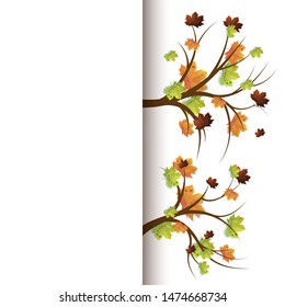 Maple leaves. Maple Leaves and Branches. Autumn leaves design elements - Vector