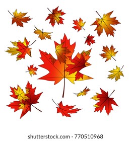 Maple leaves. Bright design. Autumn fall. 