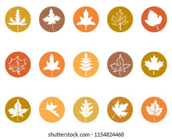 maple leaves button icons
