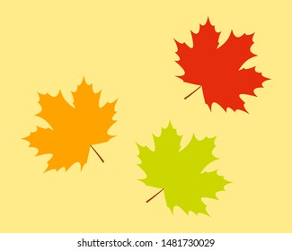 Maple leaves colorful flat vector icon.