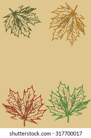 Maple leaves in different colors