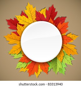 Maple leaves of different colors composition. ready for a text