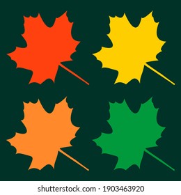 Maple leaves in different seasons