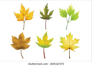Maple leaves during autumn season or fall cliparts in isolated vector illustrations. Bright colorful autumn fallen leaves on the white background. Hello october.