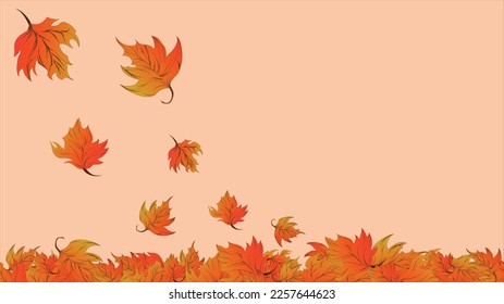 Maple Leaves fall to the ground in autumn