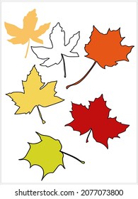 Maple leaves graphic solution.image on a white and colored background.Vector.