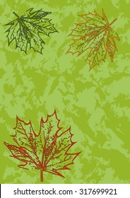 Maple leaves with a green marbled background