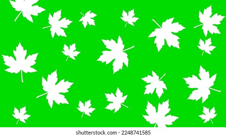 Hojas de arce fondo de naturaleza verde diseño moderno vector