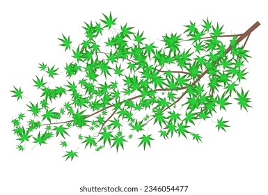 Maple leaves  hot weather  icon