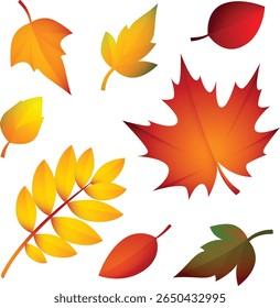 maple leaves icon collection isolated on transparent background.