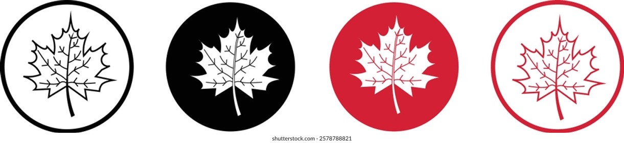 maple leaves icon collection. Maple leaf icon set. red and black maple leaf canada icon.  vector illustration
