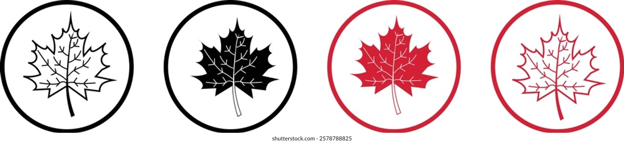 maple leaves icon collection. Maple leaf icon set. red and black maple leaf canada icon.  vector illustration
