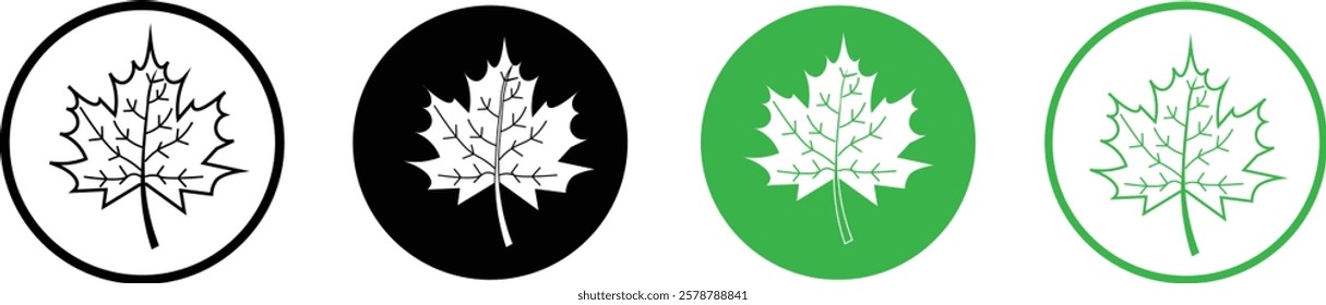 maple leaves icon collection. Maple leaf icon set. red and black maple leaf canada icon.  vector illustration
