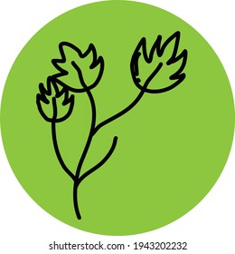 Maple leaves, illustration, vector on a white background