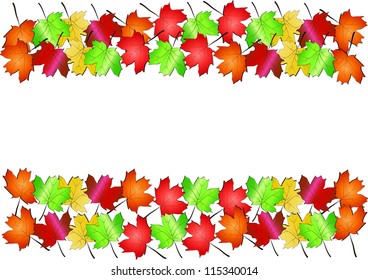 Maple leaves isolated on white -vector