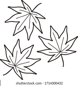 maple leaves isolated vector illustration