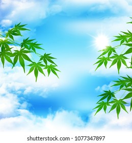 Maple leaves landscape background